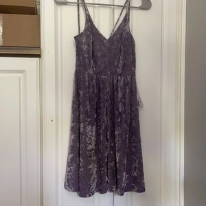 lavendar velvet-y dress